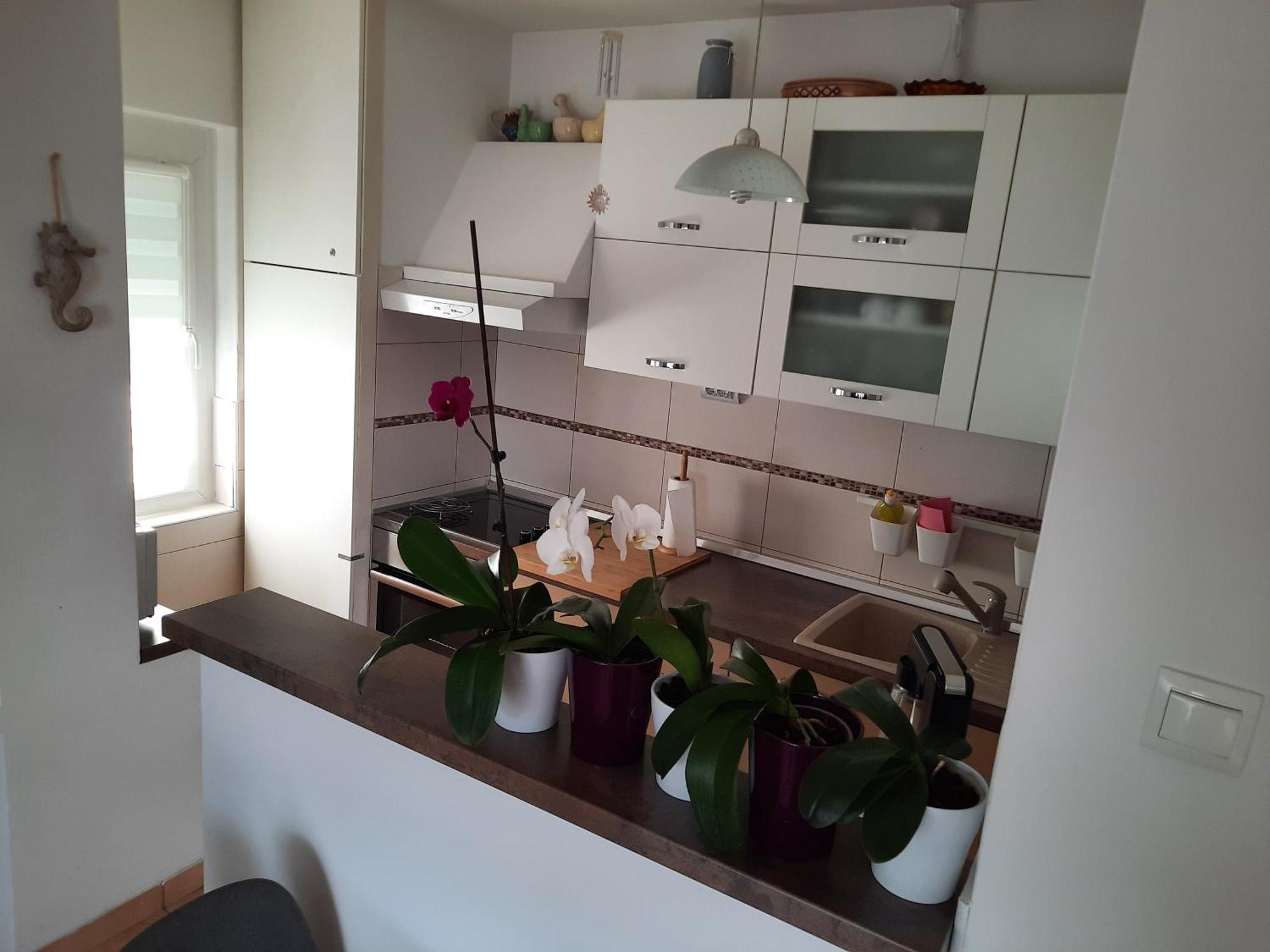 Apartments Anita Crikvenica Chambre photo